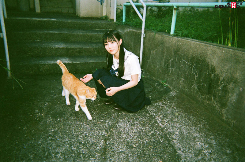 望実かなえ 出演画像