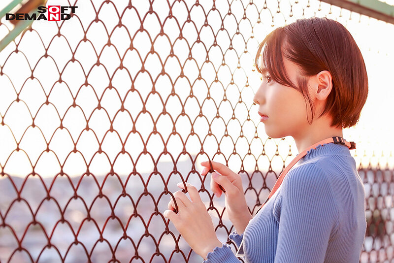 柴崎はる 出演画像