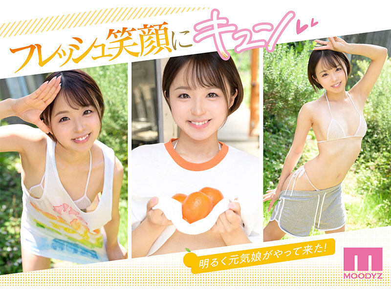 midv00541jp-2 菊池はる 出演画像