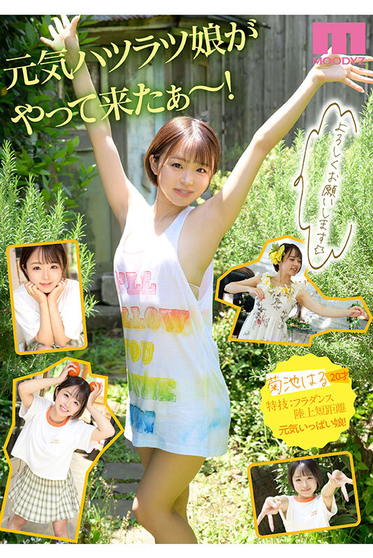 midv00541jp-8 菊池はる 出演画像